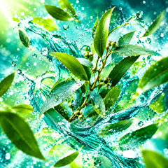 Eucalyptus Breeze