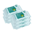 Originate Mint Cooling Facial Wipes Pack of 6